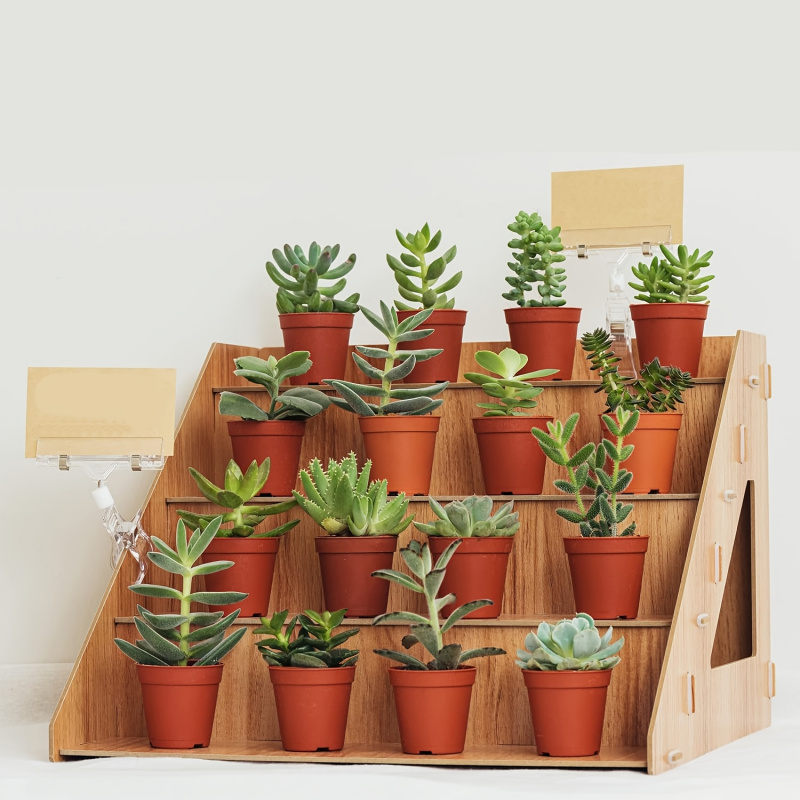 Houten presentatiestandaard, s - Pop Display Shelf recensie en prijs